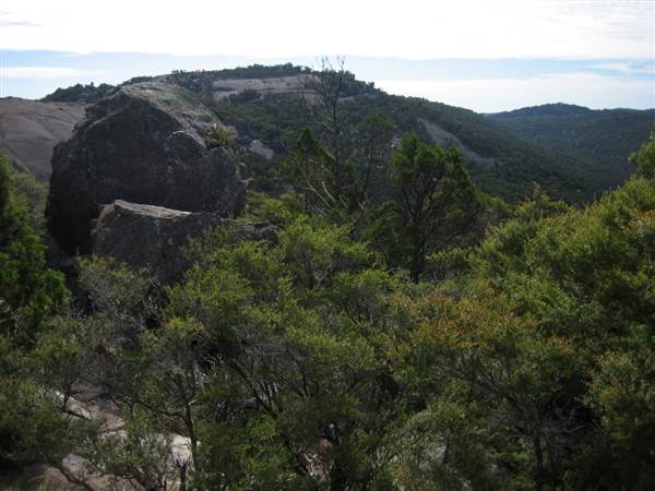 Warwick Region - Girraween National Park (25/09/2006)
