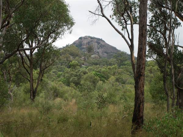 Warwick Region - Girraween National Park (25/09/2006)