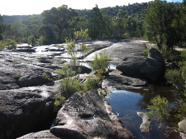 Warwick Region - Girraween National Park (25/09/2006)