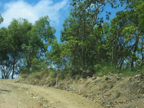 Hamilton Island - Coral Cove (18/11/2005)