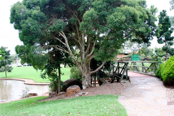 Lake Annand (16/01/2006)