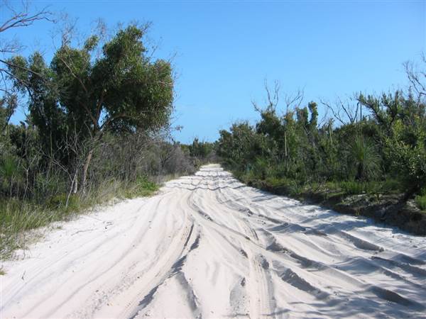 Mulgumpin (Moreton Island) (14/05/2009)