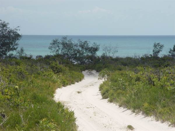 Mulgumpin (Moreton Island) (14/05/2009)