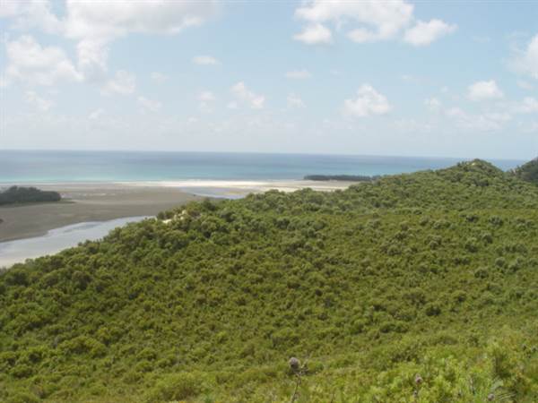 Mulgumpin (Moreton Island) (14/05/2009)