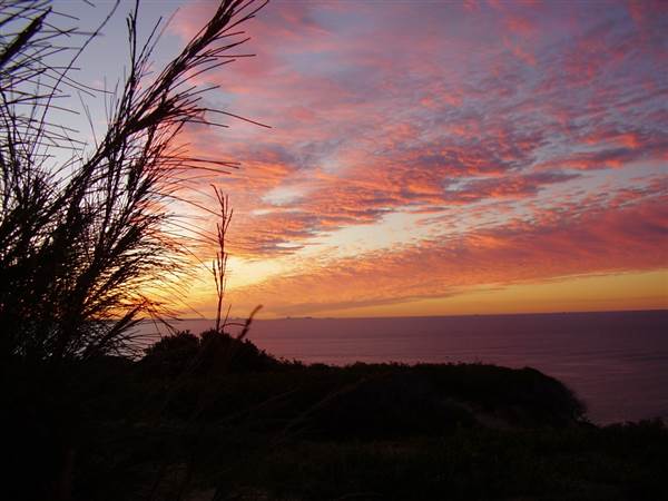 Mulgumpin (Moreton Island) (14/05/2009)