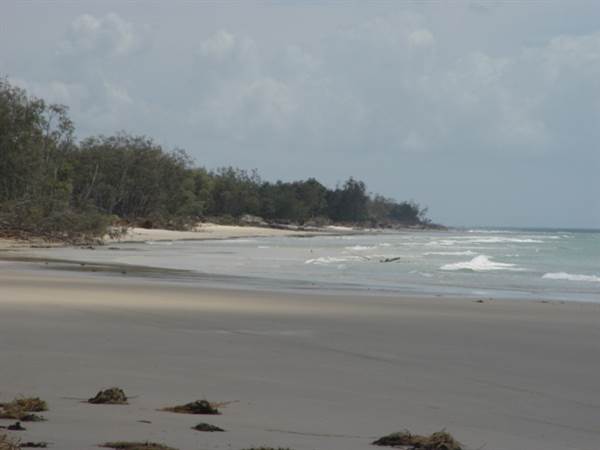Mulgumpin (Moreton Island) (14/05/2009)