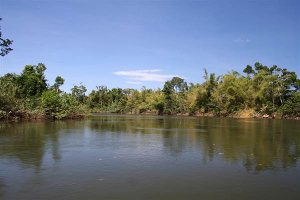 Mulgrave River (Cairns Region) (25/09/2007)