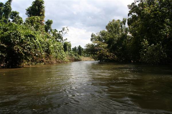 Mulgrave River (Cairns Region) (25/09/2007)