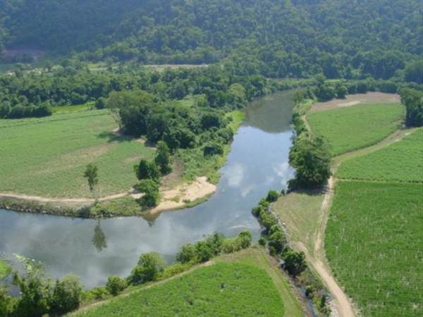 Mulgrave River (Cairns Region) (25/09/2007)