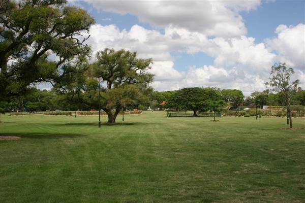 New Farm Park (12/11/2013)