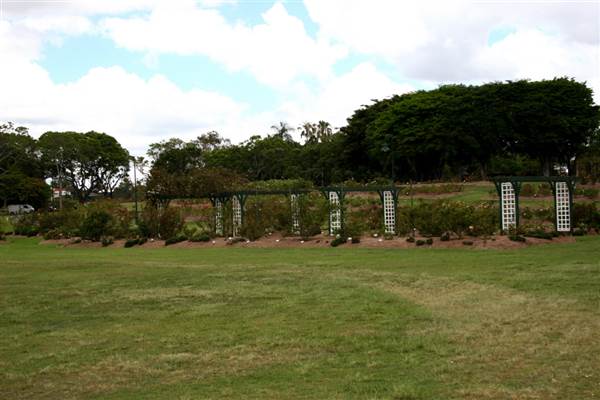 New Farm Park (12/11/2013)