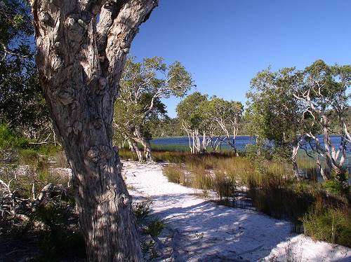 Minjeeribah (North Stradbroke Island) - Overview (29/01/2009)