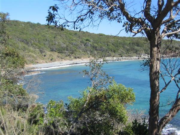Sunshine Coast Region - Noosa National Park (12/10/2007)