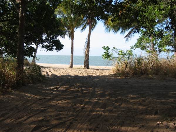 North Palm Cove to Ellis Beach (1/10/2007)