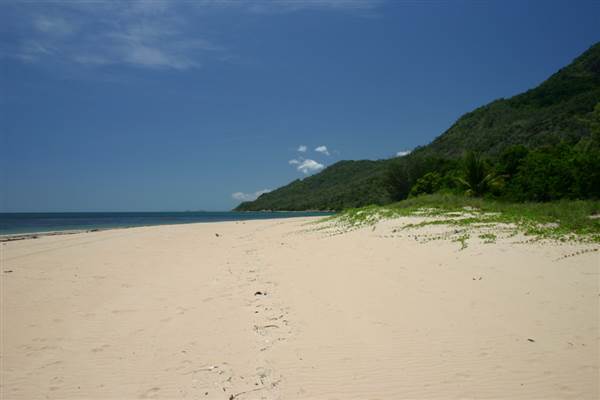 North Palm Cove to Ellis Beach (1/10/2007)