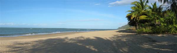 North Palm Cove to Ellis Beach (1/10/2007)
