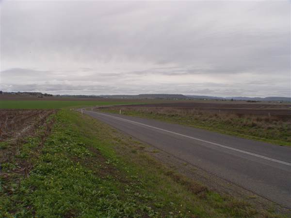 Wheat Fields (8/01/2008)