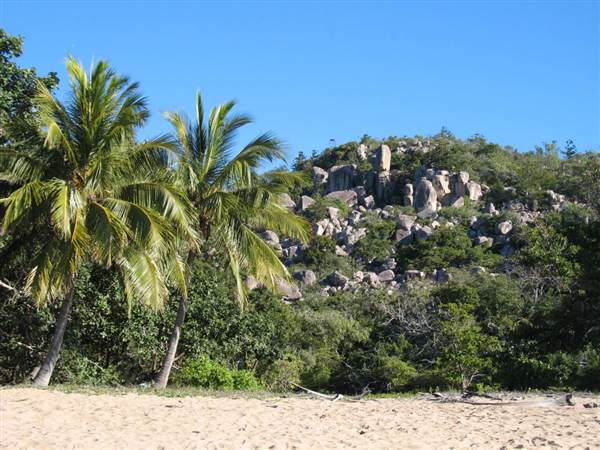 Radical Bay (Magnetic Island) (12/10/2007)
