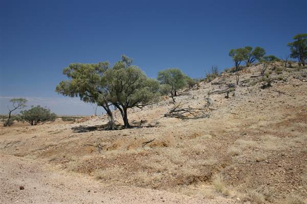 Rangelands Station (14/10/2005)