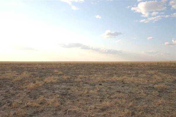 Rangelands Station (14/10/2005)