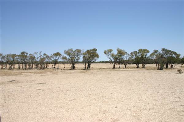 Rangelands Station (14/10/2005)