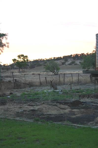 Rangelands Station (14/10/2005)