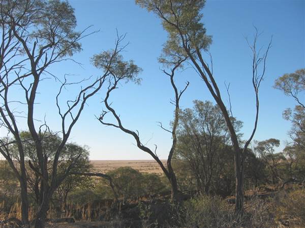 Rangelands Station (14/10/2005)