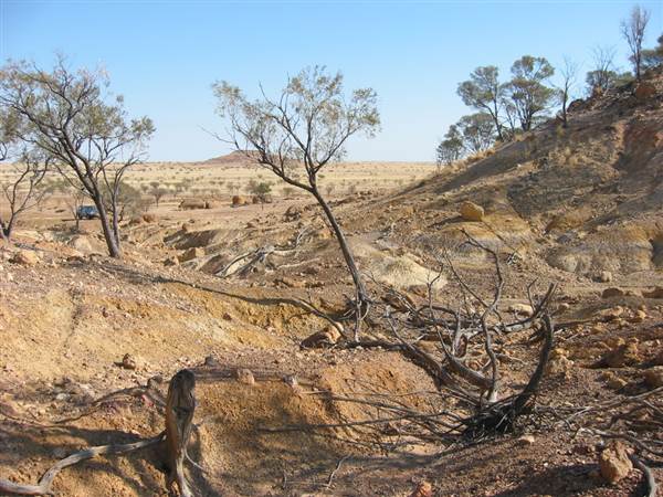 Rangelands Station (14/10/2005)