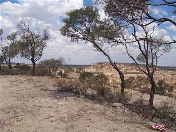 Rangelands Station (14/10/2005)
