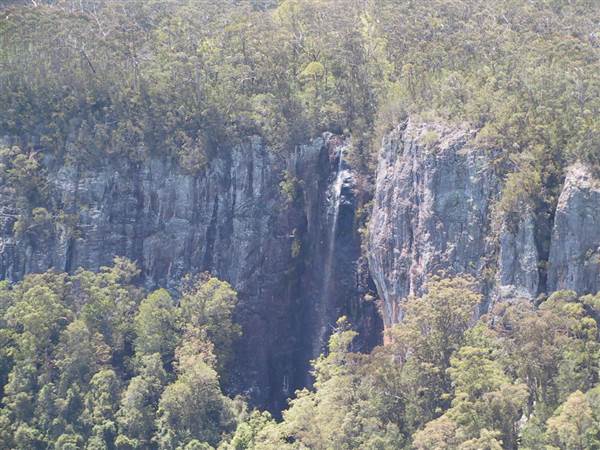 Springbrook National Park (26/09/2007)