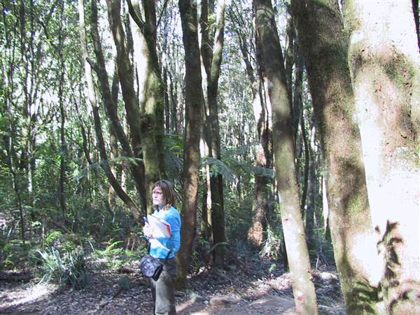 Springbrook National Park (26/09/2007)