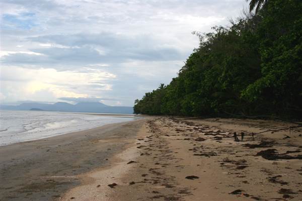 Wonga Beach (22/03/2007)