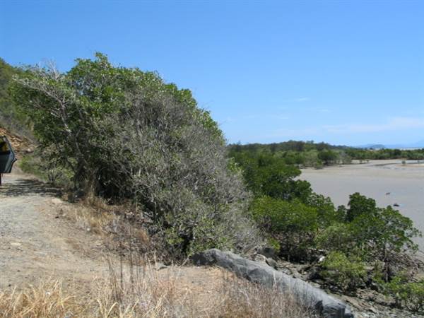 Yule Point (6/10/2005)