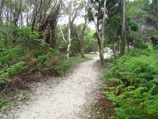 Minjeeribah (North Stradbroke Island) - Home Beach (1/02/2014 - Credits: Angus Ledgerwood)