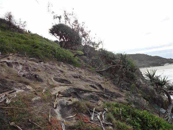 Gorge Walk, Point Lookout (3/02/2014 - Credits: Angus ledgerwood)