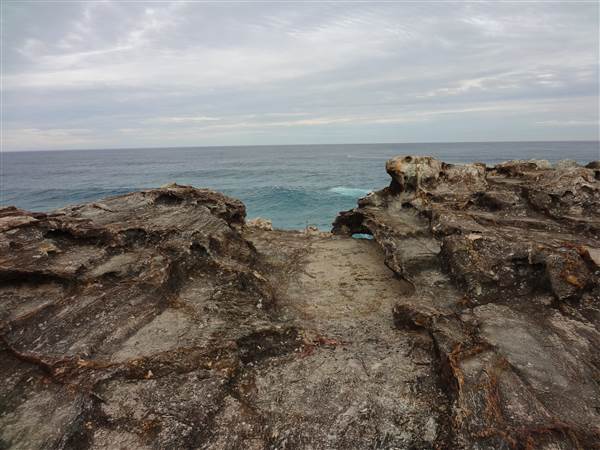 Gorge Walk, Point Lookout (3/02/2014)
