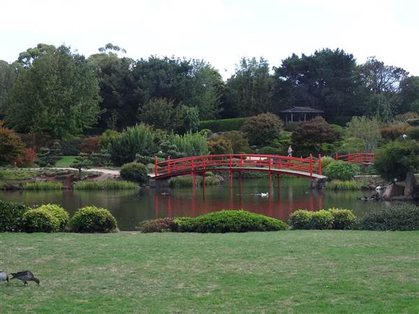 Japanese Garden - University of Southern Queensland (7/05/2014)