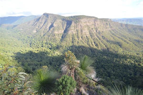 O'Reillys Rainforest Retreat (19/05/2014)