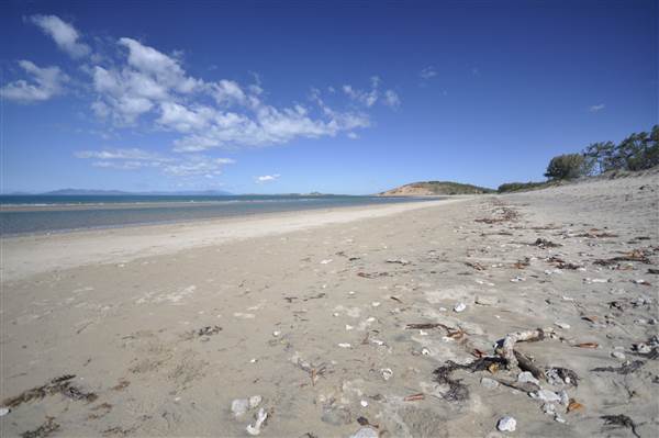 Kings Beach (Bowen) (23/07/2014 - Credits: Angus Ledgerwood)