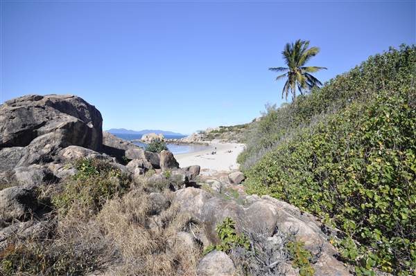 Horseshoe Bay (Bowen) (23/07/2014 - Credits: Angus Ledgerwood)