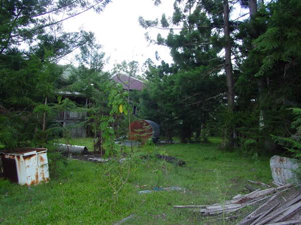 The Backlot, Bonogin - Overview (14/02/2005)