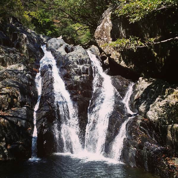 Spring Creek - near Port Douglas (3/10/2014)