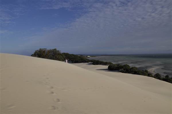 Mulgumpin (Moreton Island) - Big Sand Hills (11/04/2015 - Credits: Angus Ledgerwood)