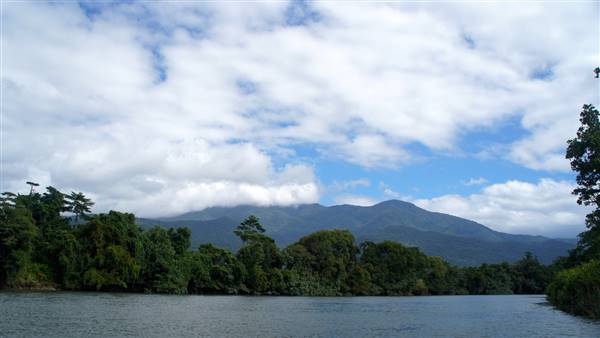 Mulgrave River (Cairns Region) (25/06/2015)