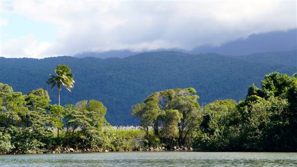 Mulgrave River (Cairns Region) (25/06/2015)