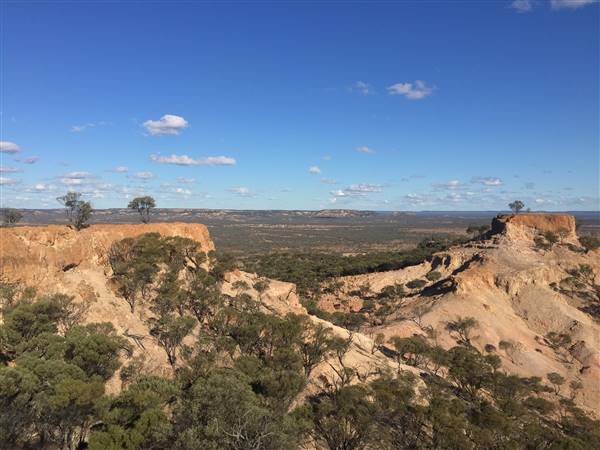 Longreach - Mount Slowcombe (22/07/2015 - Credits: Neil McGregor)