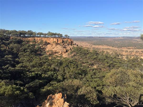 Longreach - Mount Slowcombe (22/07/2015 - Credits: Neil McGregor)