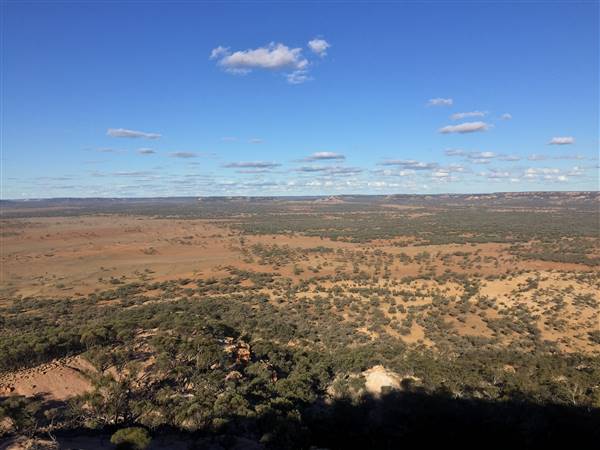 Longreach - Mount Slowcombe (22/07/2015 - Credits: Neil McGregor)