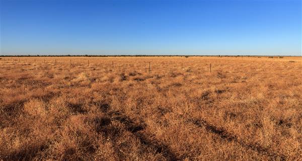 Age Of Dinosaurs (Rangelands) (22/07/2015)