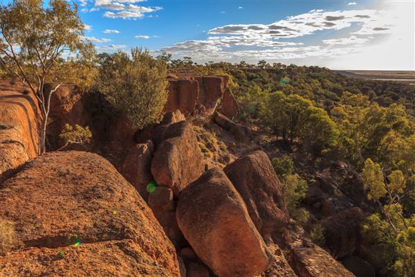 Age Of Dinosaurs (Rangelands) (22/07/2015)
